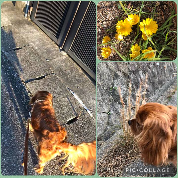 E34326c8 668d 4d30 94d1 ef3bbb558587 1612601095287