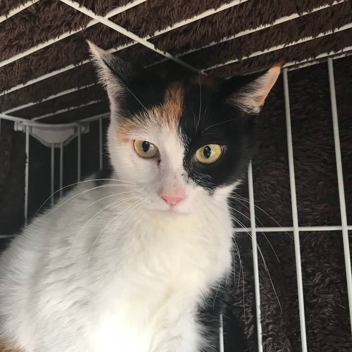 E343410f 149b 4676 90ea a32cd6998d62 1512267222422