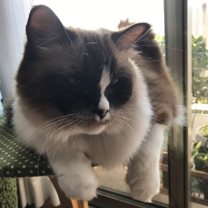 E3439c50 061f 416c 9db4 5a63b6dabed9 1509673822426