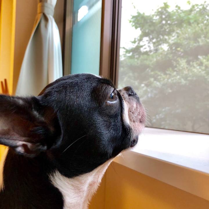 E343c929 c2d2 4cee 8894 e5a7b86a6b32 1530690224285