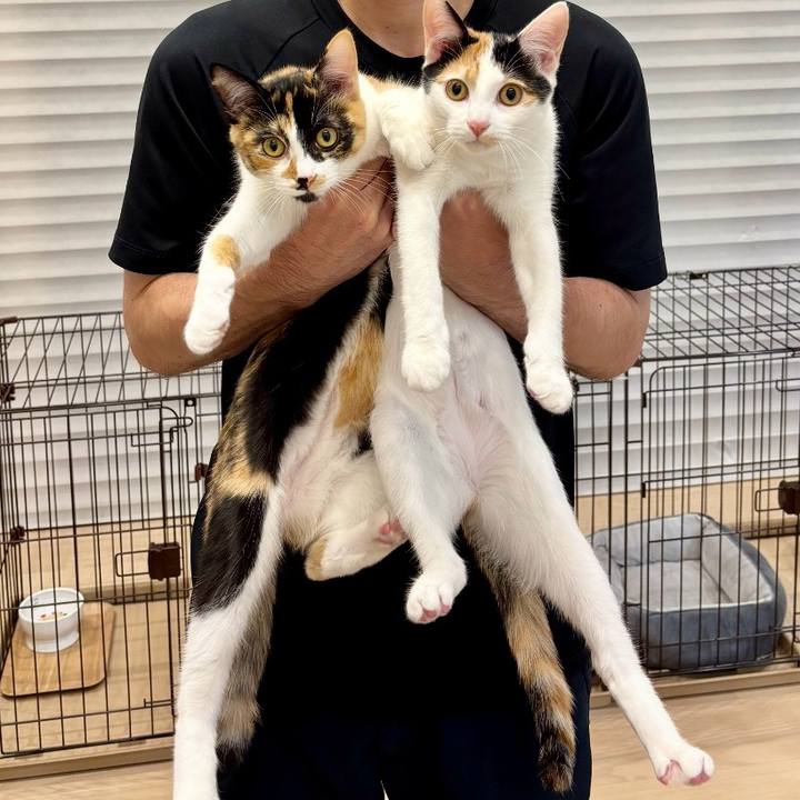 E3442563 4ebf 4916 8dea dd30393ec390 1763215369710