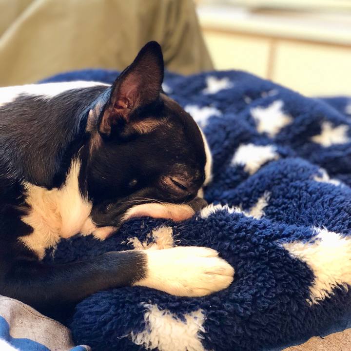 E3442fe4 a9b1 4fea 93fc 47cb11e31592 1513725564130