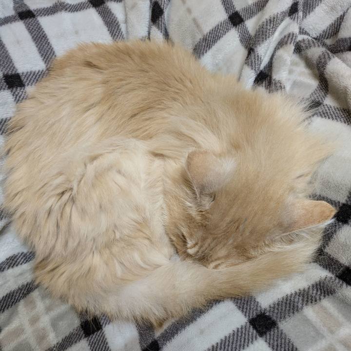 E3448747 5de9 400d 878a 68d4456d7375 1775052875771