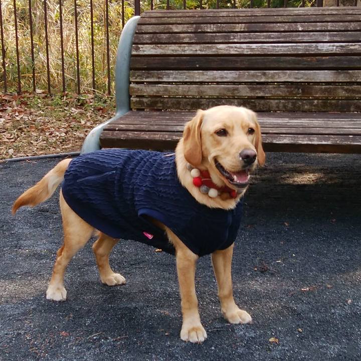 E344cd97 82a6 4f8e b96a 7daea8f72908 1518336436794