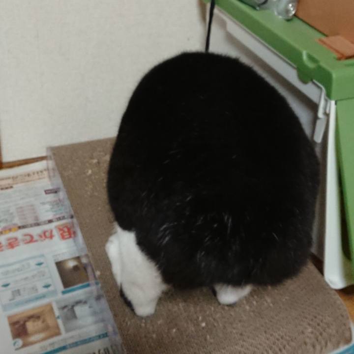 E344e101 0c55 48be 8795 93bba0936beb 1604288040932