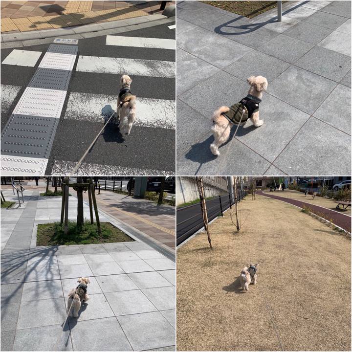 E344f610 d938 4eca b042 5f88df077f91 1552806500992