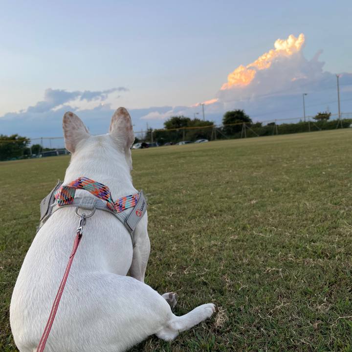 E34506aa dee3 472c 9ce1 c2bddeae7c47 1754649987525