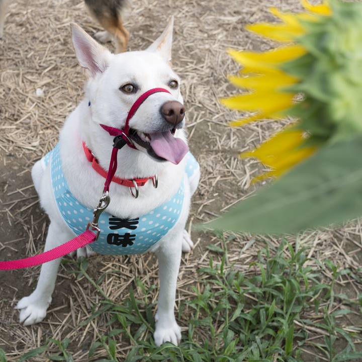 E34528b6 9896 4c1e 8773 5dc575da0757 1534441713970