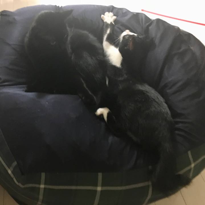 E3453dad 85d5 4167 9881 fecfdfa3c71a 1537838928456