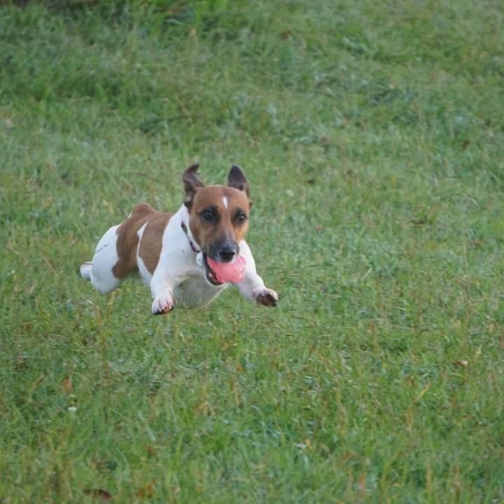 E3455c93 7dcc 497f 9203 6bda8c33bb62 1508973722374