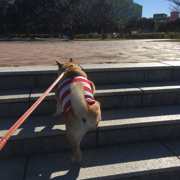 E3456bed cf2d 48f2 bd6b 0f5c6e4c71f1 1548573045934