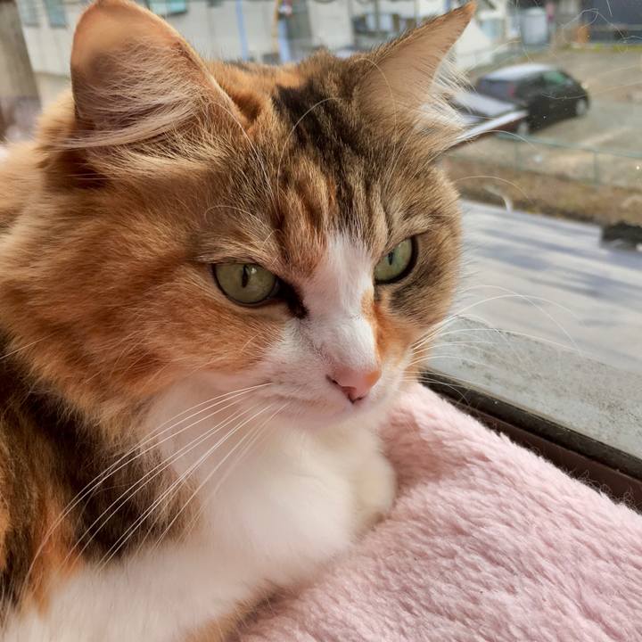 E3457ec8 20ce 417b b9ff aecacfa4c1bf 1576134042153