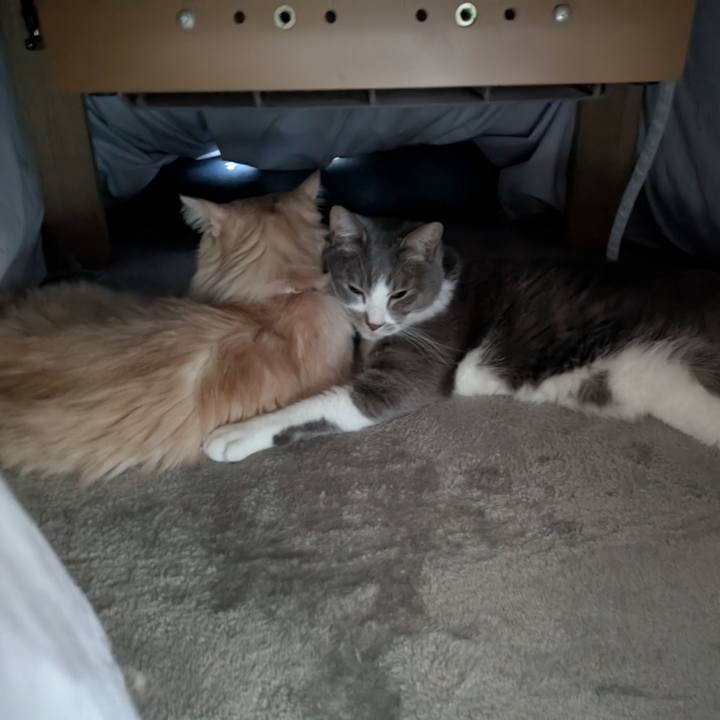 E345c31e 2ec9 4d92 9b69 d4b1ef81ad16 1739145402130