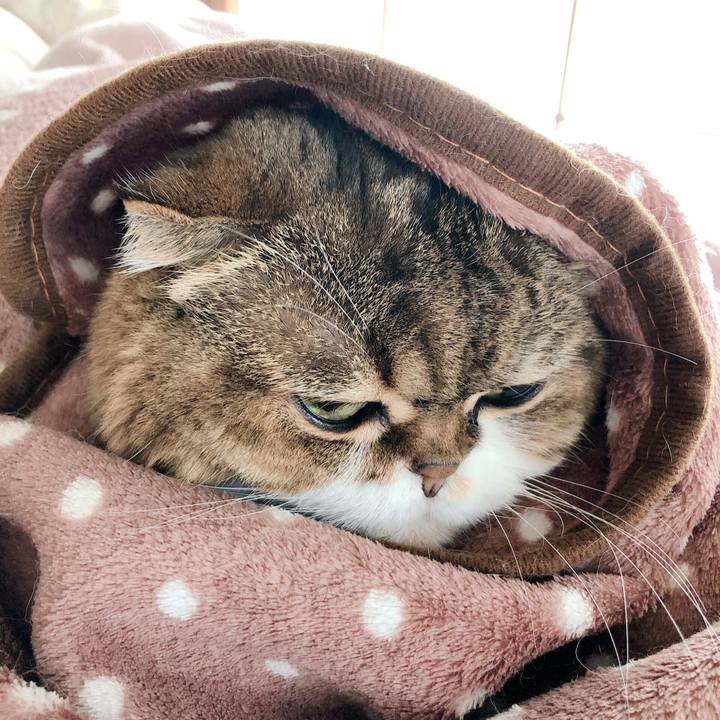 E345f740 027b 40e7 9ca9 87717825db85 1571364824073