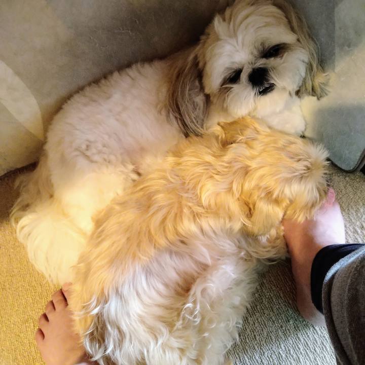 E346132a 30bc 4438 9cea d4d180082c3e 1654077034442