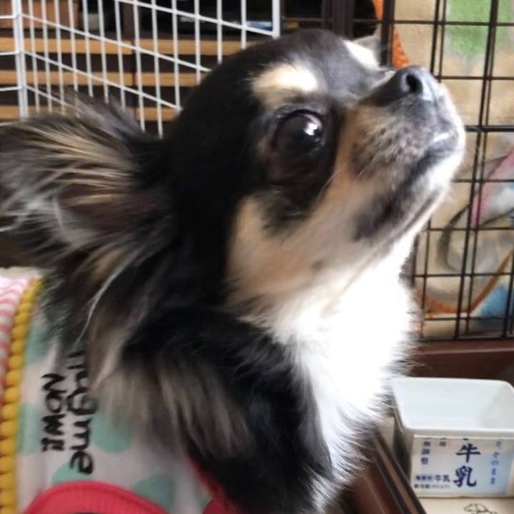 E346a3d3 8615 48fa 8570 4b2d500c1023 1555981735462