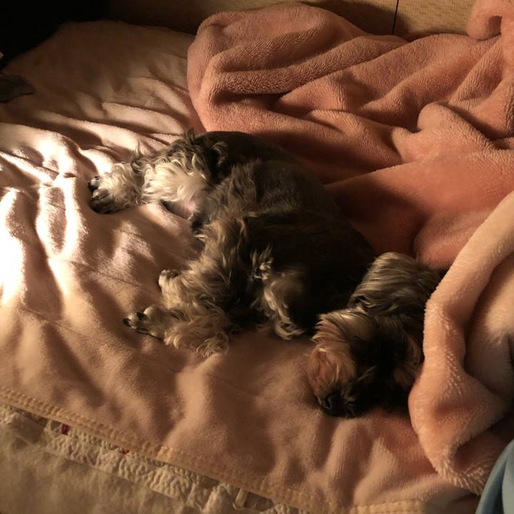 E346dd11 87b5 4568 812b 134d3a560d7c 1558018215821