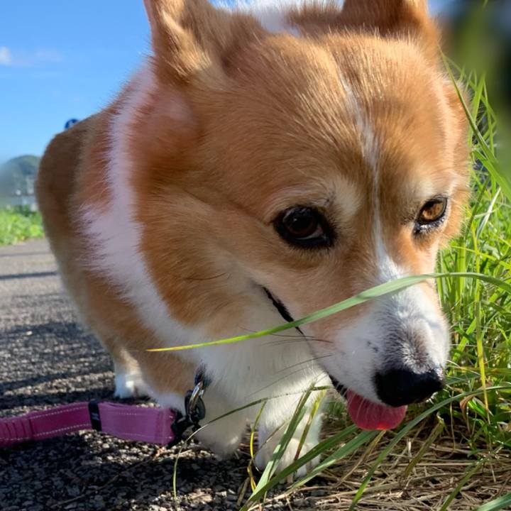 E3473281 884a 45fe 9e8c 0ea6412c83a9 1691880077286