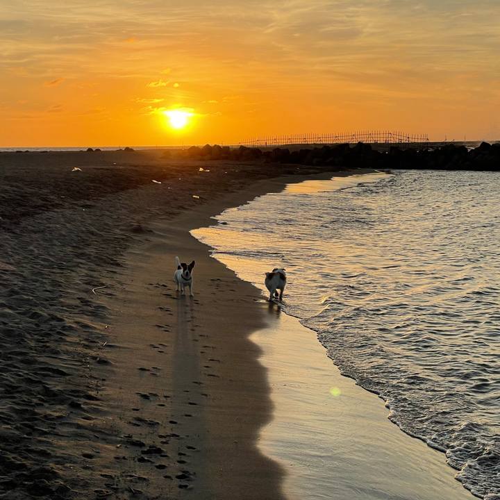 E3473992 339b 4168 b465 e9e509332fb2 1663150413503