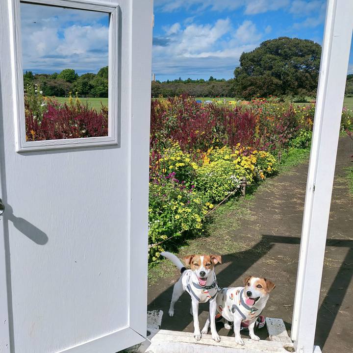 E347bbba 88b8 473e 80c9 63e17a3b6f30 1761554107008