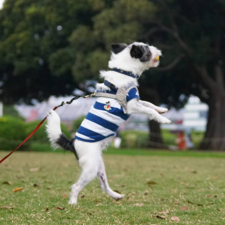 E347d880 97cf 49bd 921e 3e16e9828569 1541671006957