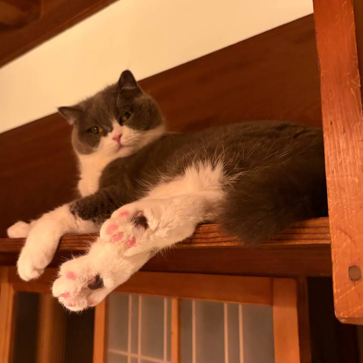 E347da72 7e51 433c ae0c db45ec951d8b 1771498475474