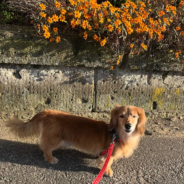 E3480725 d886 44bb 9529 78e4d82d3151 1637327675277