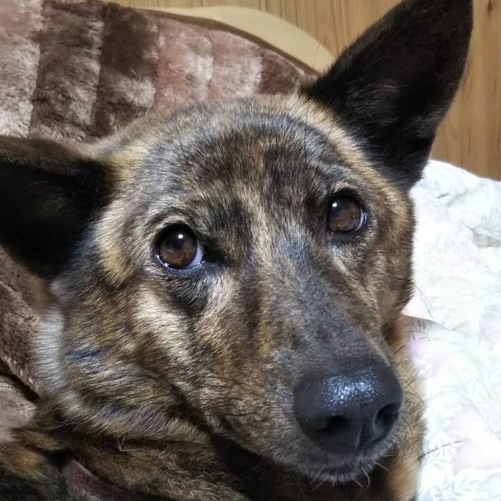 E3485701 9605 44ea a967 3b87d88d67c5 1580991309934