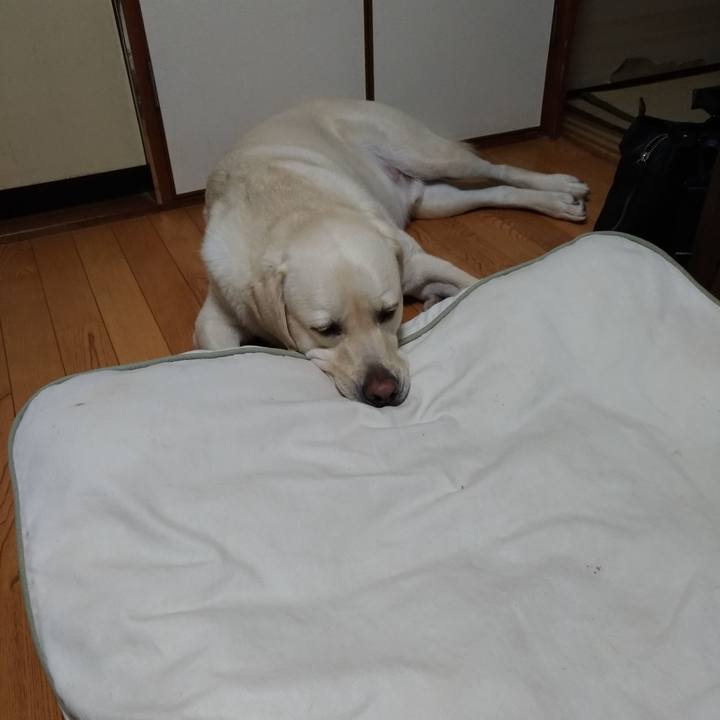 E3487ff6 a5fe 41e2 8dde e89753e51896 1566309864210