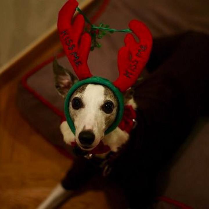 E348e3b0 553d 40b4 bec5 8ef4bb2daae7 1514195490805