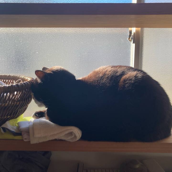 E348f0a3 f9c8 4c05 a08a 717b229b71c7 1610252215281