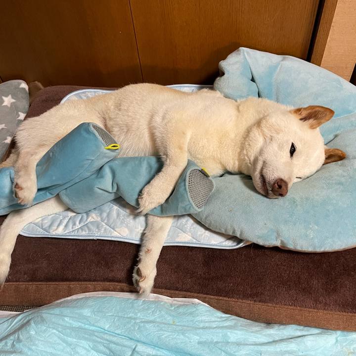 E3490db0 ca91 4114 bb20 85228549e255 1653054529393