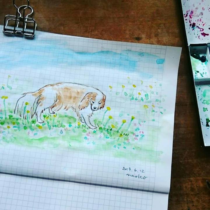 E34924f5 8f47 443d a93d e24b747177b6 1560325047338