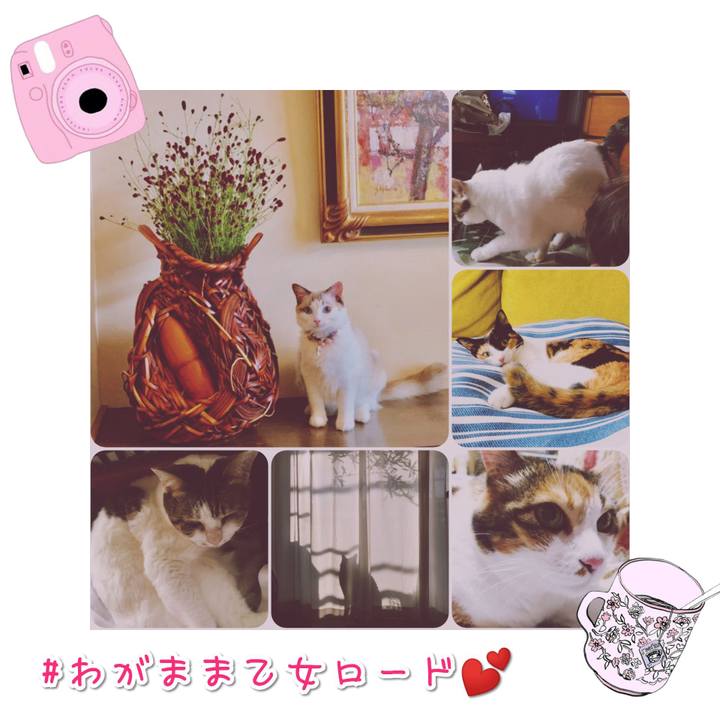 E3493f7d 7c80 42be ad7f b1486b8d7eeb 1567394330601