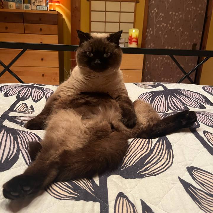 E3493fca 265a 4ec5 936d fe34f2d9125b 1649201492585