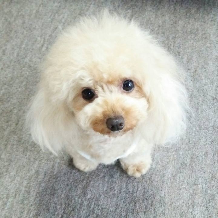 E3497a87 434f 4394 824f 65191af9314a 1536797658658