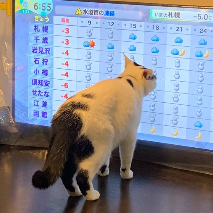 E34983a7 e6bd 42c6 a131 28be74465674 1768946319207