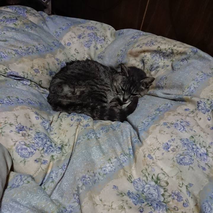 E349b766 771c 47a2 ab02 89763d67fc9f 1589110839505