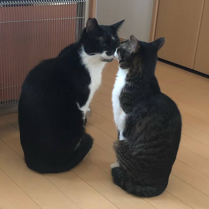 E349fb8c 7993 4c7b 9d5d a4aa3f37ed9f 1554015175160