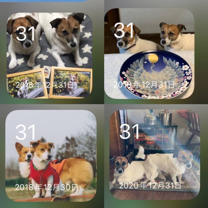 E34a01db f6a5 4d3b 8f32 362fa79b8b0e 1640938142865