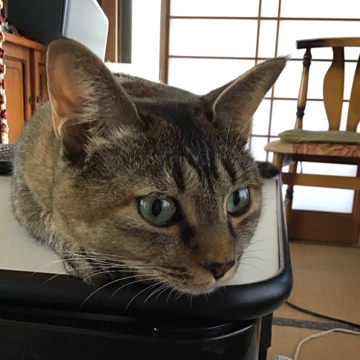 E34a1b55 5d67 4aba a058 eb535669403d 1630122517241