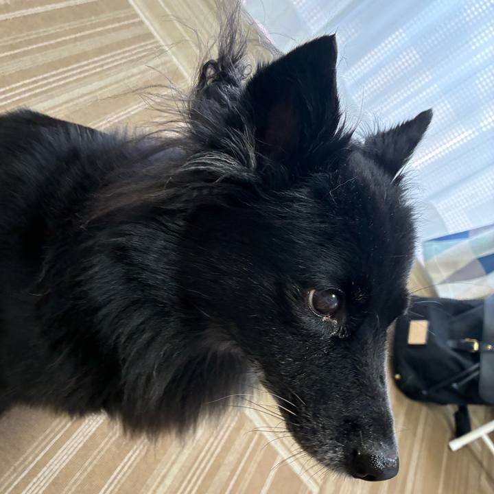 E34a2fe6 3c8c 4ebe 9400 751343b0152a 1756251927051