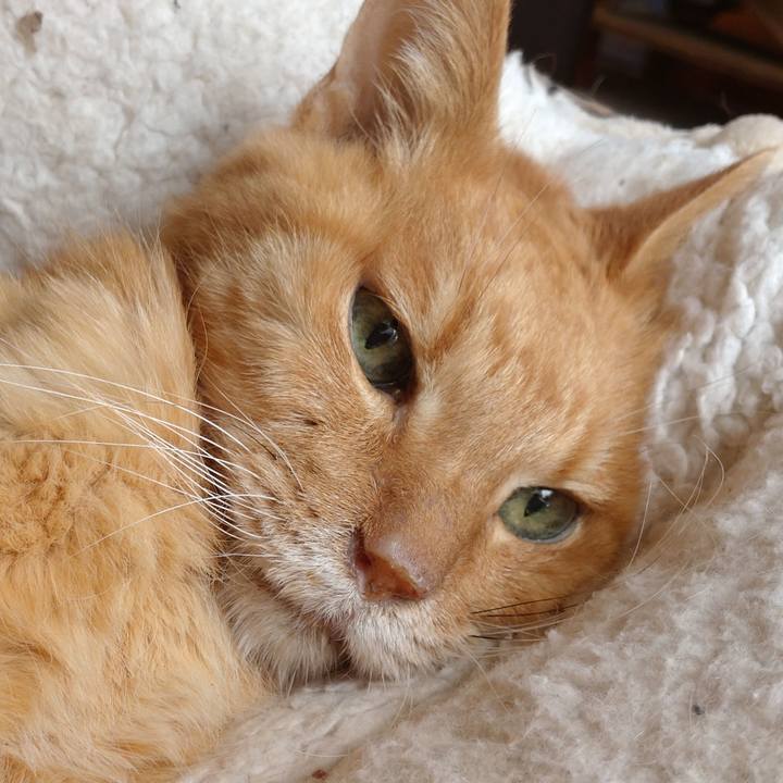 E34a7a1f bd2d 4ec0 abe7 4d0cd2d970ce 1713617000023