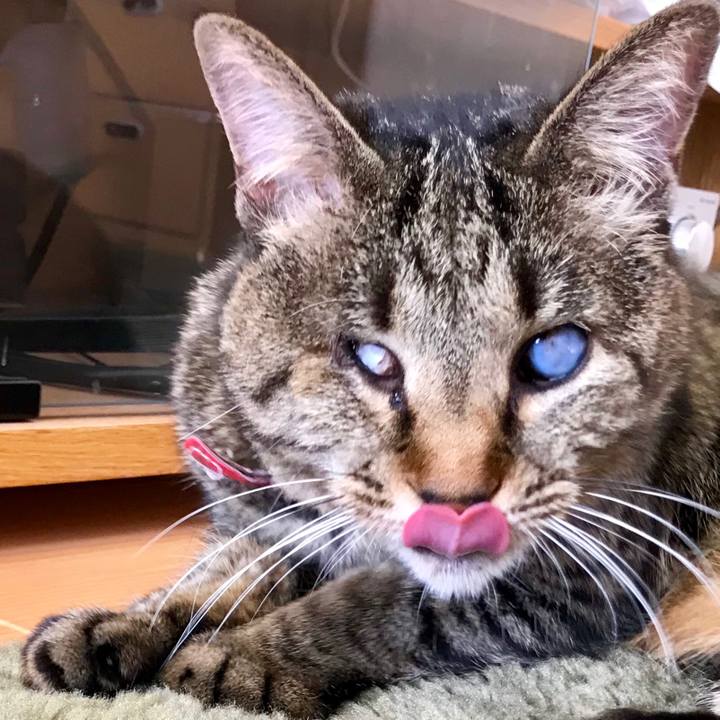 E34a8922 8e56 489a ad77 e4f5723ecd9f 1517034824109