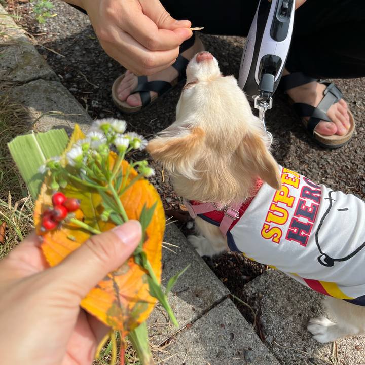 E34a8ed7 cc05 4a9e 93c5 ba439a022b47 1727497644215