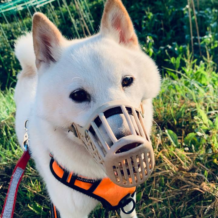 E34b0e0a da7e 4432 aba7 c6a96eb606ef 1626296363097