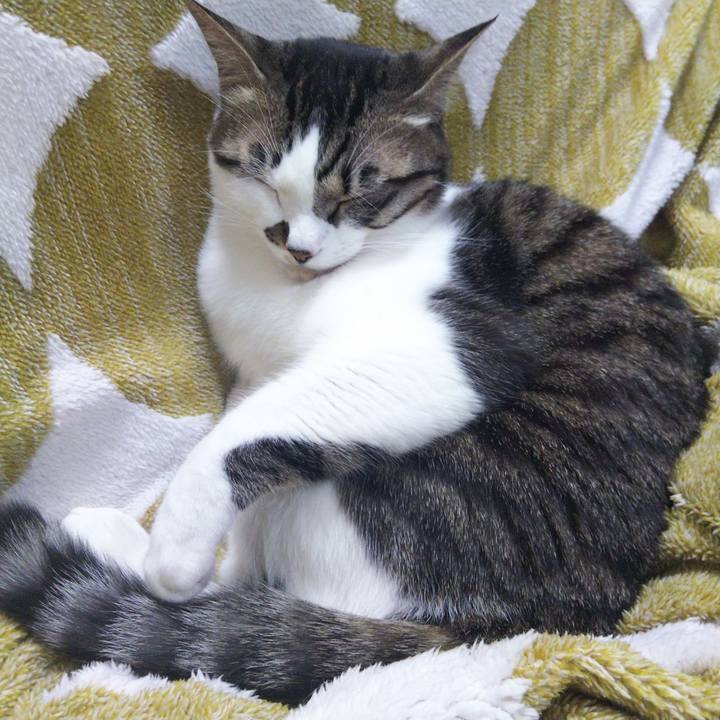 E34b3ceb e4b2 4fbc a793 5ba23b8a01e6 1645353600274