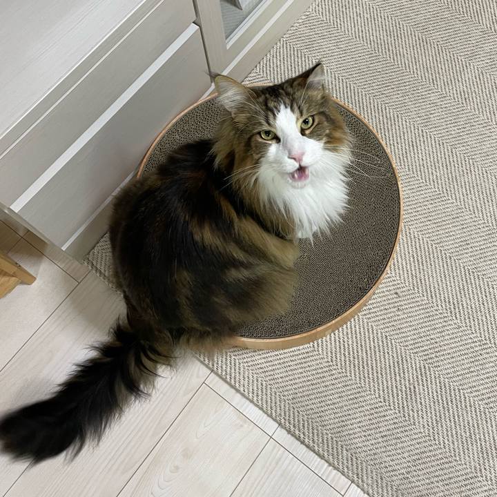 E34b4eea 7265 46c5 a684 c6c46c6371dd 1679515243790