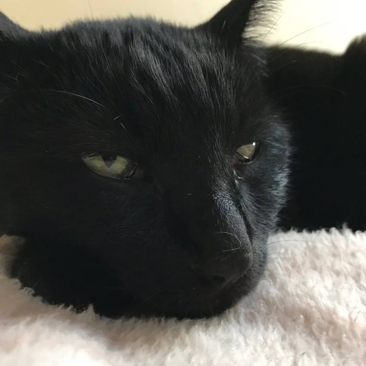 E34b5932 bf31 43c0 970e b21c345b6450 1512436145555