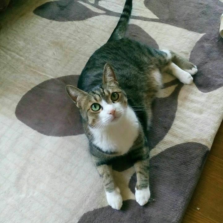 E34b7334 942e 43f0 8c5c db9f38ca918c 1528176782268